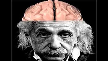 Debunking the Myth - Head Size and Intelligence (5 Minutes Microlearning)