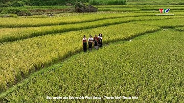 Sắc màu các dân tộc xứ Thanh ngày 15/10/2025