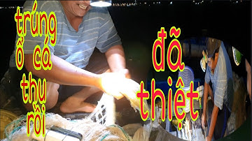 MỘT NGÀY THẢ LƯỚI SÔNG TIỀN CHỌN Ổ  CÁ  THU