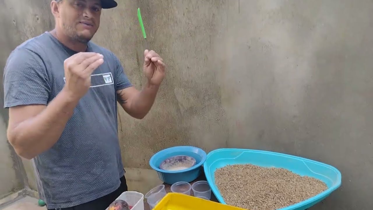 primeira vídeo aula do bichinho da laranja