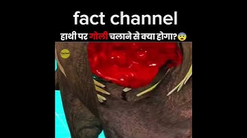 Will an elephant die if it is shot?😱.      #shortvideo #shorts #facts #factchannel #views #viral
