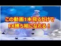 FXこの動画1本見るだけでFX勝ち組になれる!
