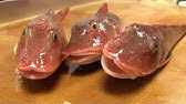 ホウボウ さばき方 刺身用 Youtube