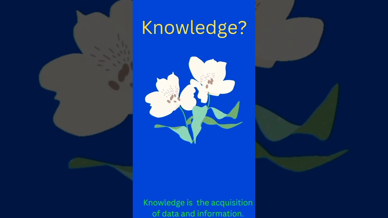 Knowledge what Is Knowledge definition Of Knowledge shorts Knowledge what Is Knowledge definition Of Knowledge shorts
