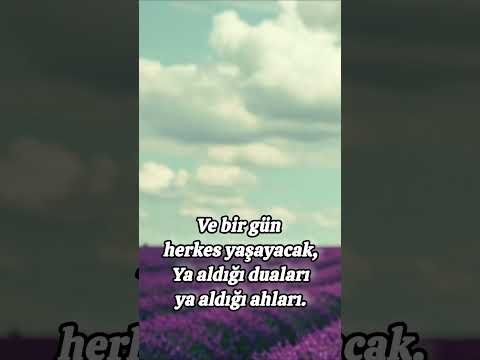 Ve bir gün