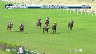 Vidéo de la course PMU PREMIO GLORY BOMB 2024