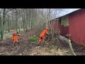 Clearing Brush And Small Trees