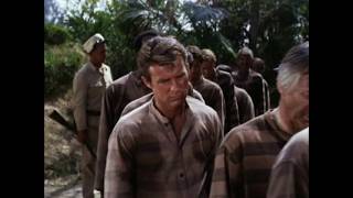 I Fought the Law - The Bobby Fuller Four
