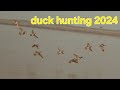 Solo duck hunting in pakistan 2024  amazing weather and shotkam duck shots by malik sarfraz khokhar
