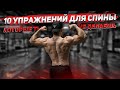 10 УПРАЖНЕНИЙ ДЛЯ СПИНЫ, О КОТОРЫХ ТЫ НЕ ЗНАЛ