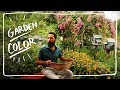 Grow Color in you Vegetable Garden - Growing Zinnia and Marigold