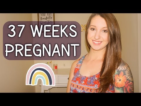 37-weeks-pregnant-update-|-rainbow-baby-girl-|-erika-ann