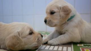 - Look Like Me And You