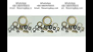 6238 Ball Bearing