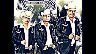 Los Alameños De La Sierra .- Tu Mi Morenita EN VIVO FIESTA DEL 01
