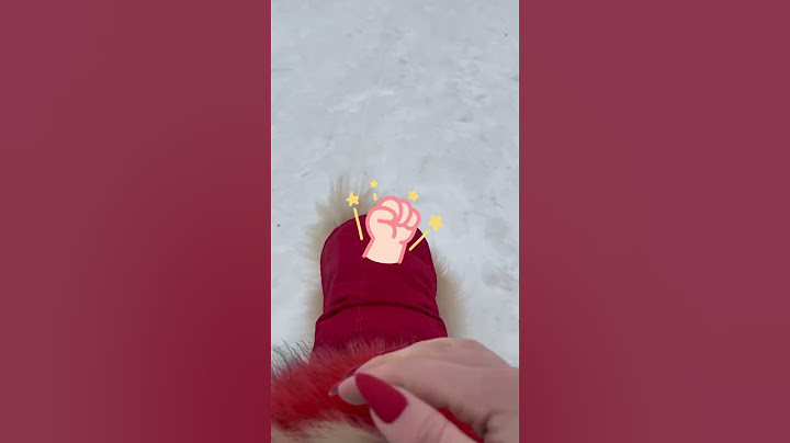 Любишь кататься? Люби и САНОЧКИ ВОЗИТЬ!🐶