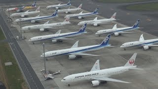 大量欠航、出番なし  羽田空港に駐機の列