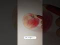 Realistic apple 🍎 drawing with colour#realisticdrawing#shorts#artwork#trending