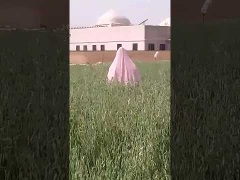 لا لا تحسب ان الدين بعيد عن حب وحياه