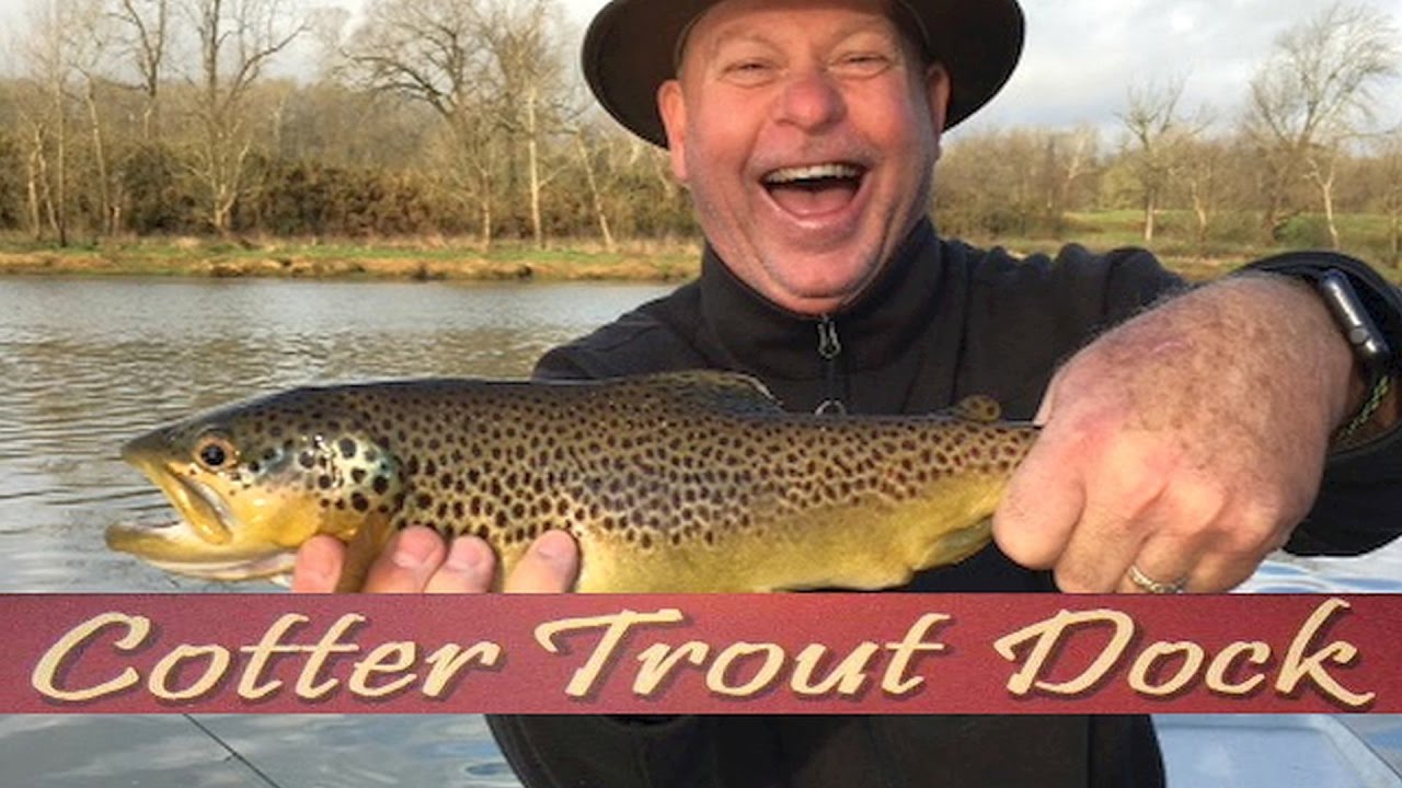 Arkansas White River Trout Fishing Report March 29, 2017 - YouTube