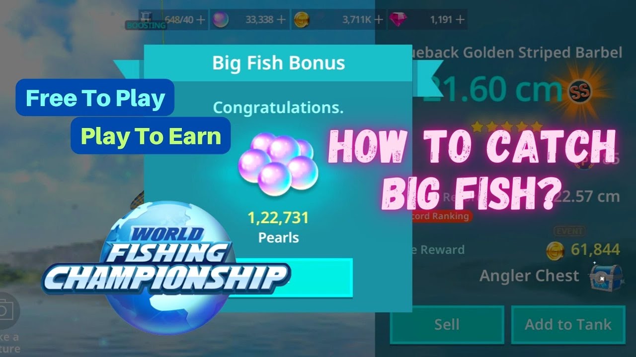 world-fishing-championship-how-to-catch-big-fish-youtube