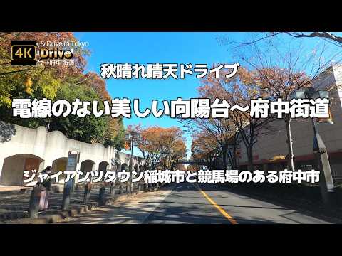 【ドライブ4K】【ジャイアンツタウン稲城市と競馬場のある府中市～秋晴れ晴天ドライブ】【電線のない美しい向陽台～府中街道～寿町三丁目交差点(甲州街道まで)】【是政橋で多摩川を超えて】