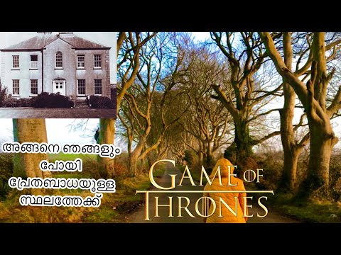 Video: Dark Hedges Di 'Game Of Throne' Perde Un Albero In Tempesta