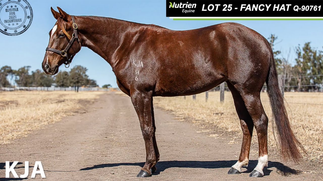 Nutrien Dispersal/Reduction Sale - Lot 25 FANCY HAT