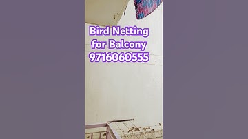 Bird Netting for Balcony in vvip addresses raj nagar extension ghaziabad । 9716060555 #birdnetting
