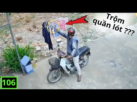Các Video Hài