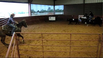 Valley View Ranch - Mousey Legacy - sorting 1