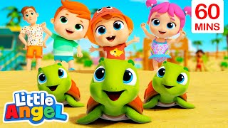 Beach Turtle Playtime | Little Angel | Best Animal Videos for Kids | Kids Songs and Nursery Rhymes