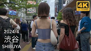Weekend Walk in Tokyo: From Shibuya to Harajuku  2024/4