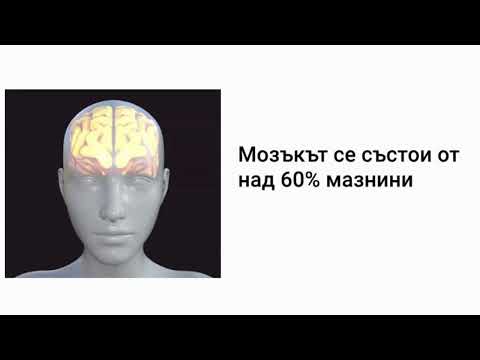 3 Колко дълго остават наркотиците в тялото?