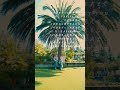 【🏝ゆったりいきましょう🏝】♪Baby you (feat.ゆいにしお) / peeto #peeto #ゆいにしお  #オリジナル曲 #新曲