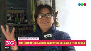 MARIHUANA EN LA YERBA EN RINCÓN - Telefe Santa Fe