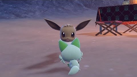 Eevee failed to wake up Sprigatito