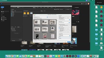 Import Photographs Using Adobe Bridge