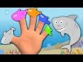 shark finger family | nursery rhymes | kids songs | baby videos