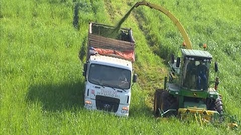 Đẩy mạnh xúc tiến thương mại đưa nông sản, thực phẩm vươn xa