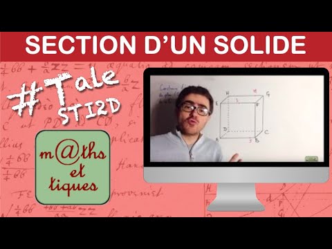 Represent the section of a solid by a plane - Terminale STD2A