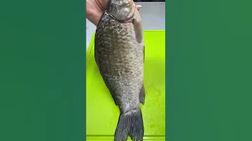 Караси, жареные на сковороде без костей с хрустящей корочкой в муке