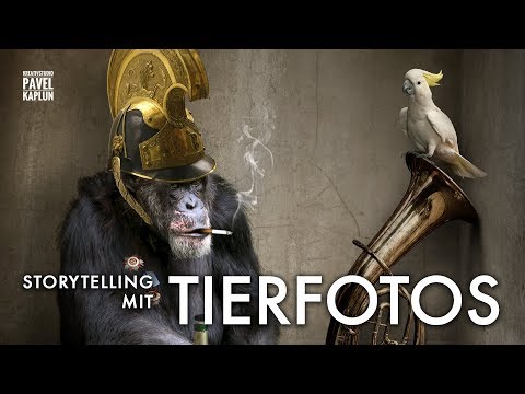 Storytelling mit Tierfotos