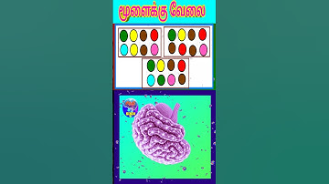 Memory Test 4 #entertainment #memorytest #tamil #memorygames #shorts #games