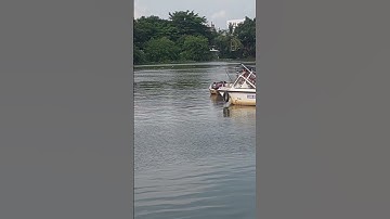 câu cá tra sông Sài Gòn nhe #caucathugian #fishing #fishinglife