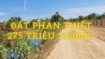 Đất Phan Thiết giá rẻ 275 triệu 1150m2 | Đất sổ riêng Bình Thuận tốt nhất thị trường