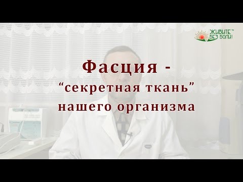 Фасция - "секретная ткань" нашего организма.