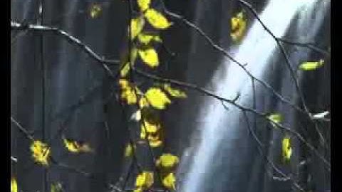 ماشاء الله على روعة صوت إدريس أبكر وتلاوة سبأ 10