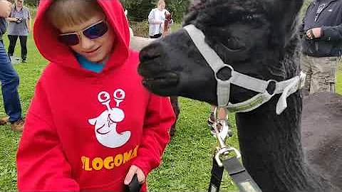 J And J Alpaca Centre & Coffee Shop August 2021 Tr...