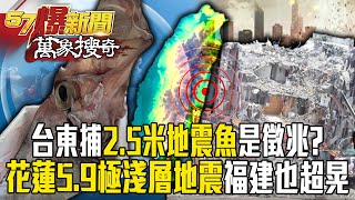 台東岸漁港才捕獲「2.5米地震魚」全台即地震7分鐘連2起規模5.9「極淺層地震」福建、廈門也超晃【57爆新聞 萬象搜奇】  @57BreakingNews